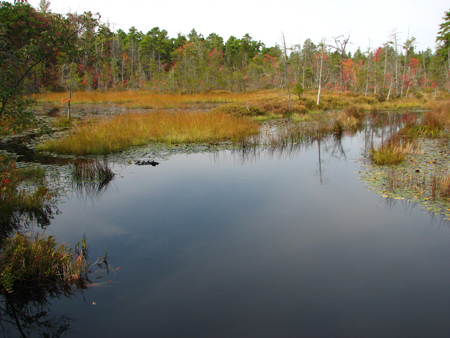 Wading River